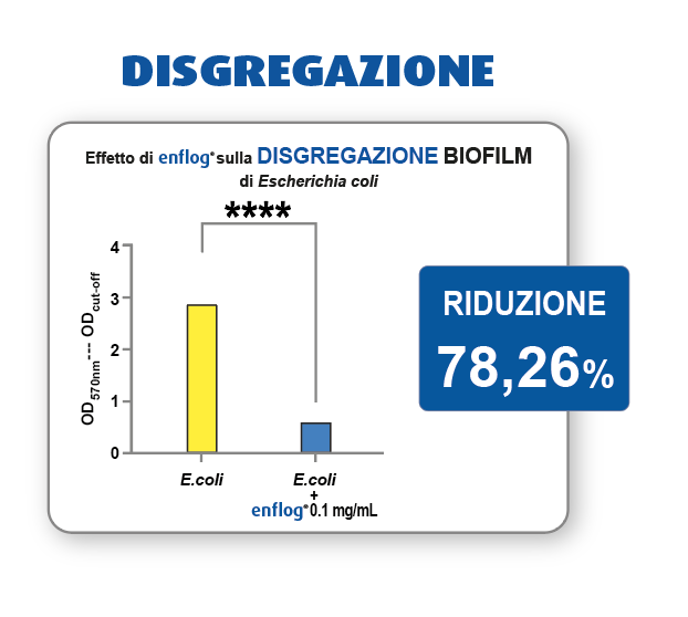 DISGREGAZIONE