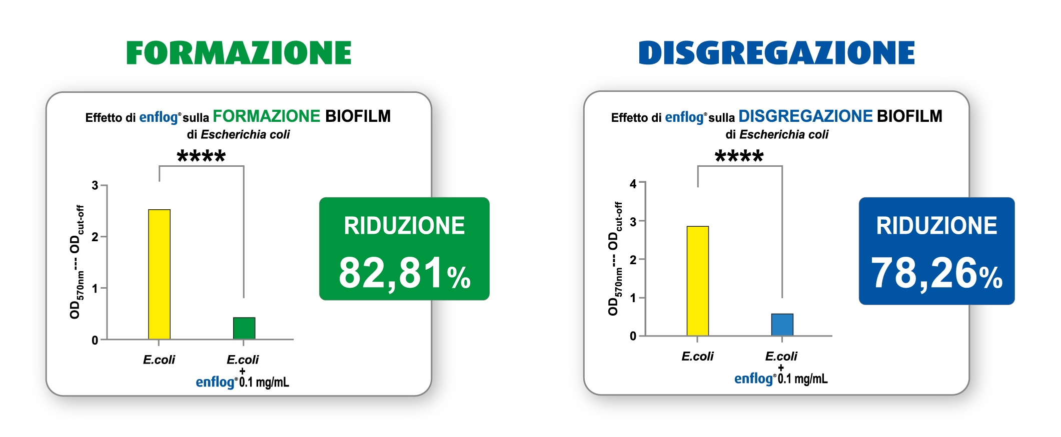 enflog tabelle formazione e disgregazione_ITA grafici sull'azione di enflog nella riduzione della formazione di biofilm e nella disgregazione di biofilm già formato