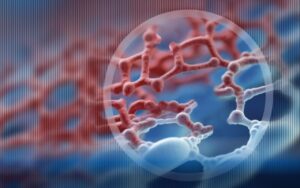 Catena di fibrina spezzata da enzimi proteolitici