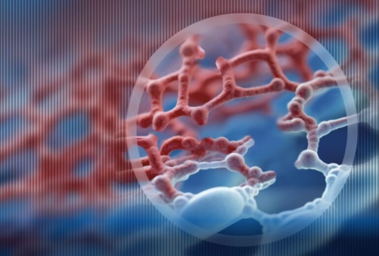 Catena di fibrina spezzata da enzimi proteolitici