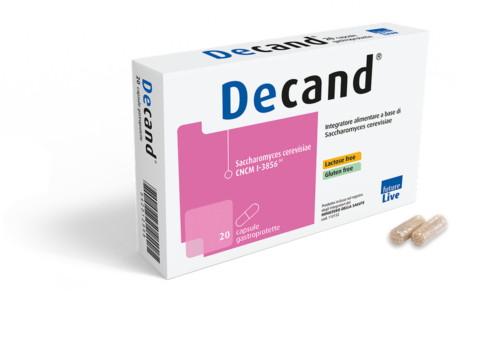 foto DECAND_2026