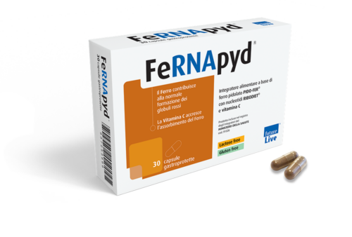foto FRENAPYD_2026