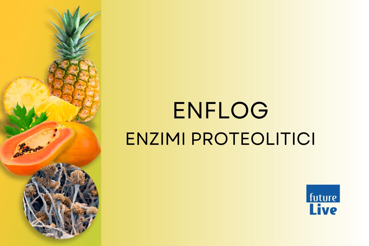 enflog enzimi proteolitici
