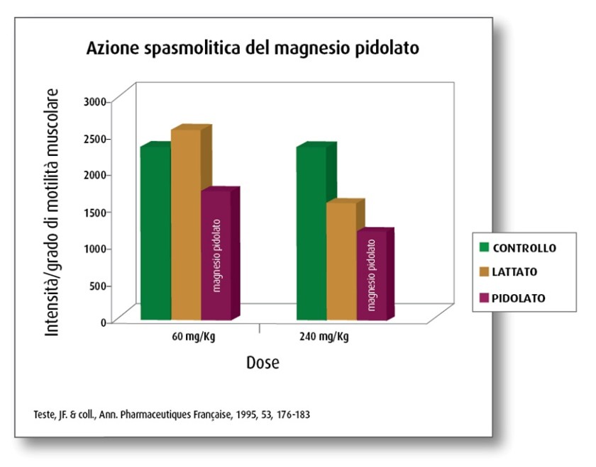 azione spasmolitica del magnesio pidolato