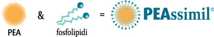 peassimil combinazione di pea e fosfolipidi